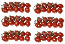 Tomaten6x10.jpg